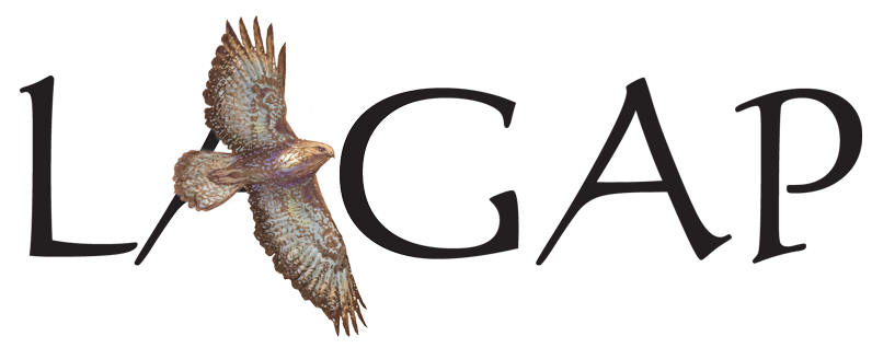 LAGAP Logo